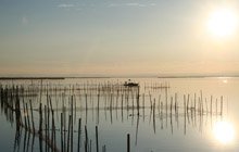 Parque Natural de la Albufera de Valencia